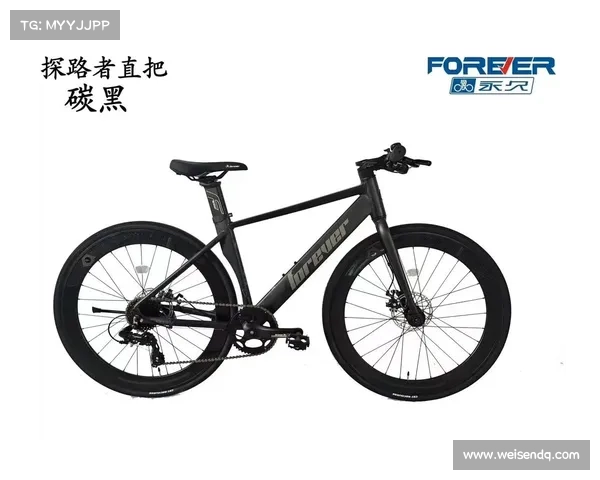 公路赛是啥意思