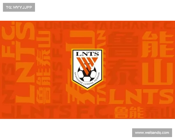 山东鲁能泰山足球俱乐部赛事门票回收与资源再利用项目全面启动