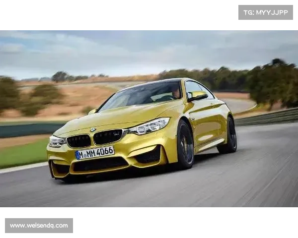 宝马赞助t1、宝马倾力呈现2024全球精英赛车盛会激情竞速巅峰荣耀盛宴