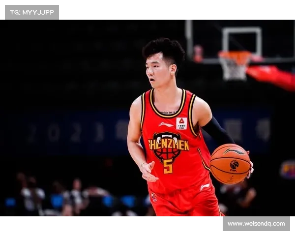 深圳男篮最新消息